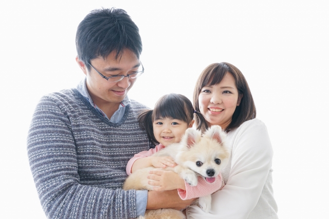 犬と家族